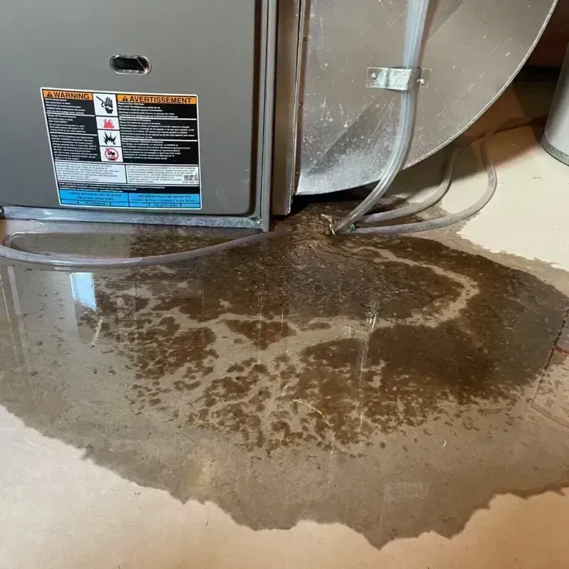 Appliance Leak Cleanup in Plantation, FL